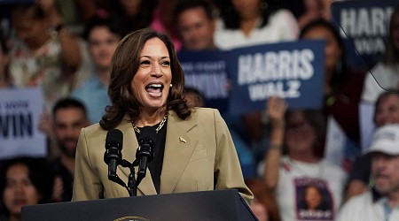 US election 2024: Harris leads Trump in three key states, new poll shows