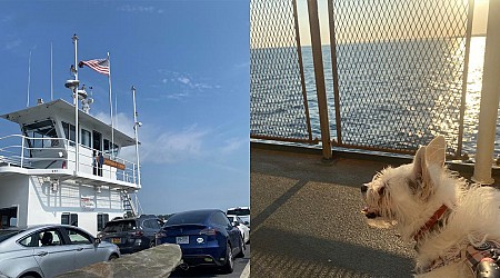 I took 2 kids and a dog on 3 separate ferries to get to our summer vacation. The 6-hour journey was so much better than driving.