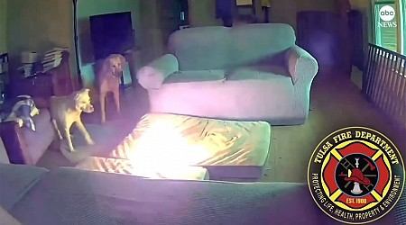 WATCH: Dog starts house fire by chewing through lithium ion battery