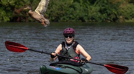 See triathletes race along the American River as historic event returns to Sacramento area