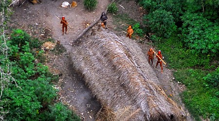 Hình ảnh: người Châu Mỹ bản địa ở rừng Amazon, chưa từng tiếp xúc "nền văn minh"