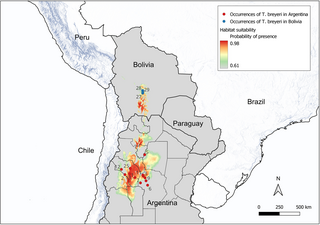 Presence of Triatoma breyeri (Reduviidae, Triatominae) in Bolivia