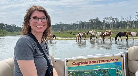 I paid $50 to take a boat tour around a beautiful island in Virginia filled with feral ponies. It should be on everyone's bucket list.