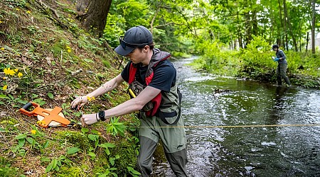 Waters along Bar Harbor, Acadia, home to billions of microplastics