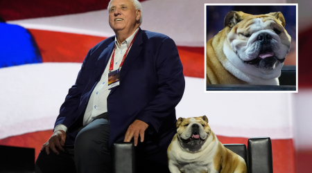 Who is Babydog? Beloved Bulldog Captivates Hearts at RNC's Opening Nights