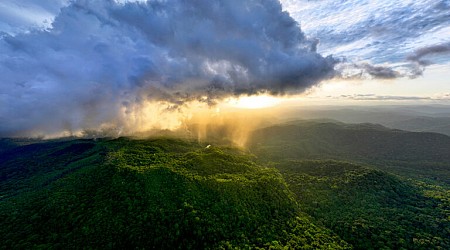 Cutting forests for solar energy 'misses the plot' on climate action