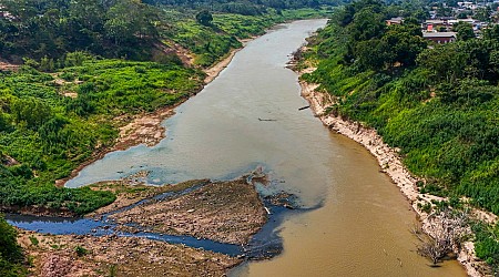 Severe drought has returned to the Amazon. And it’s happening earlier than expected