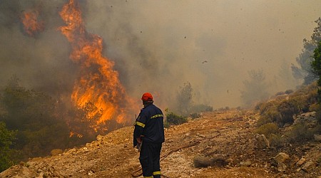 Yellen roept op tot 3 triljoen dollar aan klimaatfinanciering per jaar