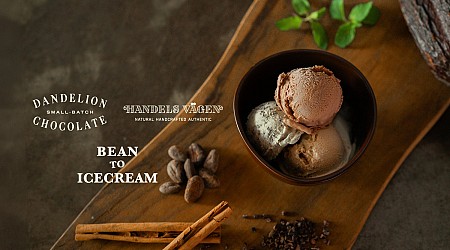 【ダンデライオン・チョコレート× HANDELS VAGEN】スモールバッチにこだわった3種のコラボフレーバーアイスクリーム「BEAN TO ICECREAM」を7月19日（金）より発売。