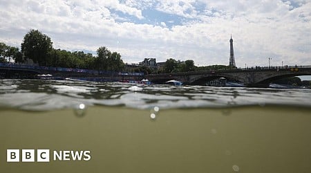 ‘It doesn’t look that bad’: Would you swim in the Seine?