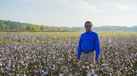 Researchers create groundbreaking cotton quality model to aid farmers