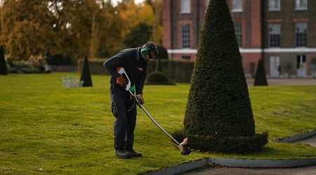 'Guess who didn't answer the numerous desperate calls?': Frustrated gardener abandons job on the day of the owner's daughter's wedding