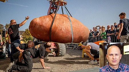 Iowa State Fair Visitor Gored By 500-Pound Yam