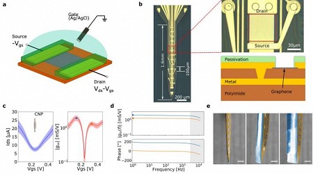 Brain Implant Uses Graphene Instead of Metal Probes