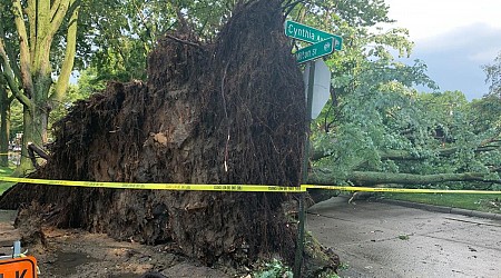 Storm hits southeast Michigan: Flooding, excessive winds and hail