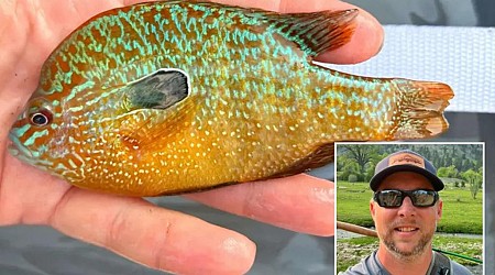 Nebraska fisherman reels in new fish species in state