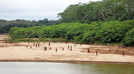 Indigene: Unkontaktiertes Volk nahe Abholzungsgebiet in Peru gesichtet