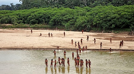 Photos of Uncontacted Tribe Raises Concern Over Logging Practices