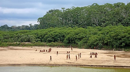 Video shows isolated Amazon tribe emerge from rain forest in Peru amid threat from loggers