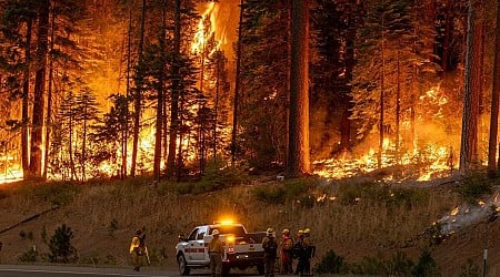 California's Park Fire grows to one of largest in state history