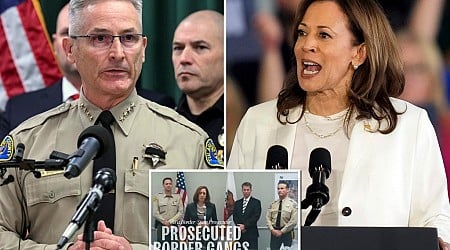 California sheriff used in Kamala campaign ad says he doesn't endorse Harris, who 'did nothing' to halt border crossings, cartels: report