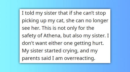 'She can no longer see her': Little Sister Plays Too Roughly With Sister's Maine Coon Scaredy Cat, Cries When Told She Can't See Her Anymore, Parents Take Little Sister's Side