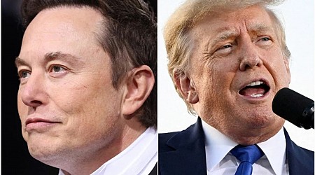 A timeline of Elon Musk and Donald Trump's rocky relationship