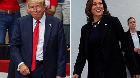 'Blue Wall' voters would rather drink with Harris than Trump: poll