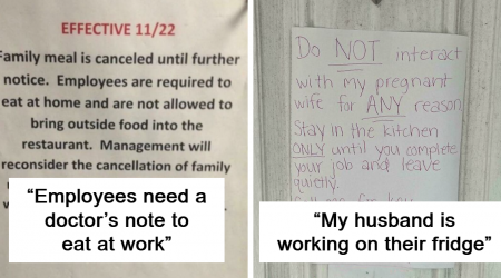 “Work Is Your Home 5 Days A Week”: 25 Posts About Late-Stage Capitalism