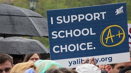 Millions of campaign dollars aimed at tilting school voucher battle flowing into races