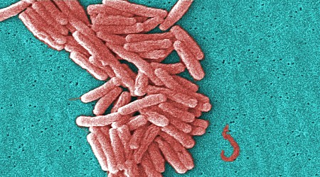 5 people diagnosed with Legionnaires' disease in New Hampshire after possible exposure from cooling tower