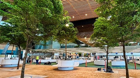 A look inside the new tree-lined main terminal at Portland International Airport