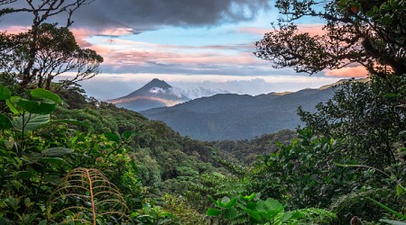 Flüge ins Naturparadies Costa Rica