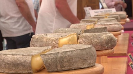 Les secrets pour choisir un saint-nectaire parfait dévoilés par "le pape du fromage"