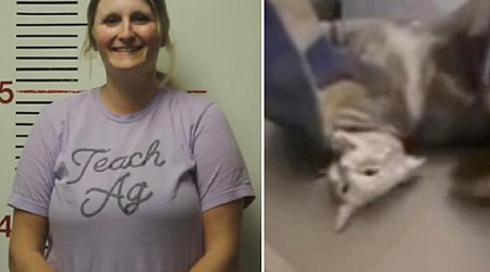 Texas teacher has students staple cat's incision