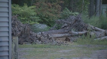 Rockland, MA tree death: Raffaele Bruzzese IDed in yard incident