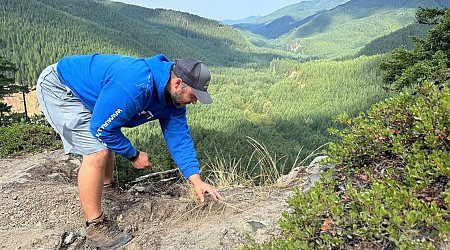 ‘We found our people.’ WA’s rock hounds comb mountains and beaches for stony treasures