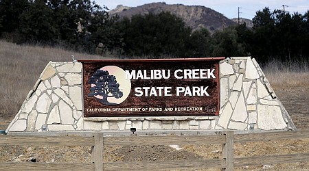 Family picnic at California park takes a terrifying turn when mountain lion attacks child