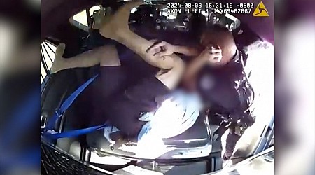 Video shows police officer beating detainee in back of patrol car