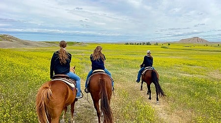 A Summer Trip To South Dakota