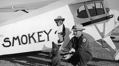 Smokey Bear turns 80 this year. Did he help prevent forest fires?