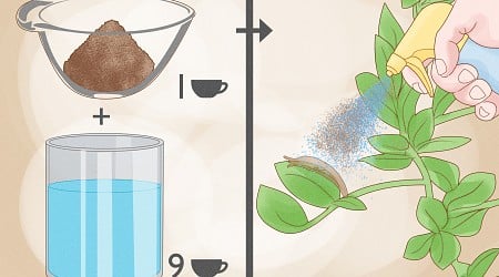 How to Burn Coffee Grounds Like Incense