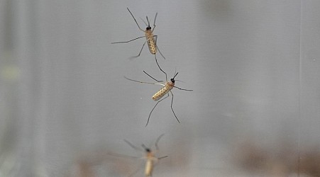 A Massachusetts town closes its parks to stop a mosquito-borne disease from spreading