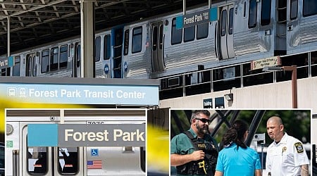 4 people shot to death on Chicago Transit Authority train: police