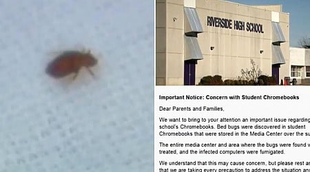 Bed bugs found in out student laptops in North Carolina school district