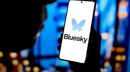 Social media platform Bluesky attracts millions in Brazil after judge bans Musk's X