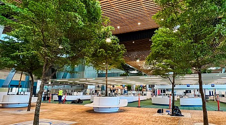 A look inside the new tree-lined main terminal at Portland International Airport