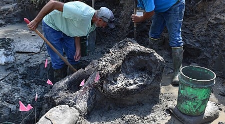 A 13,600-year-old mastodon skull is unearthed in an Iowa creek