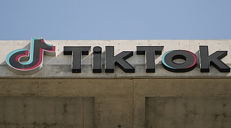 TikTok fights for survival in latest filing as ban approaches