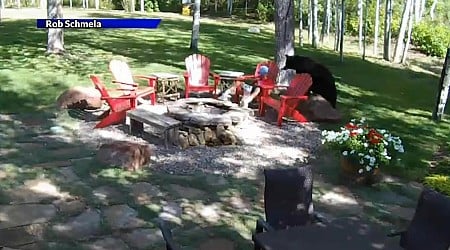 Watch: Bear sneaks up behind boy eating popcorn in Colorado backyard